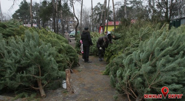 В Одессе коммунальщики ликвидируют «кладбища елок»