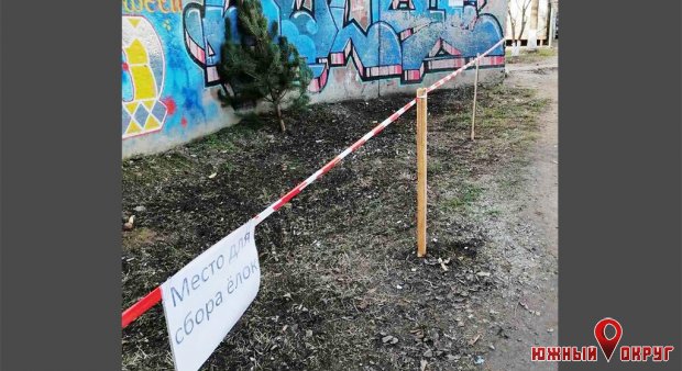В Одессе коммунальщики меняют елки на конфеты