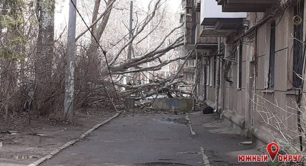 В Одессе разрушаются здания из-за ветра. Особенно страдает центр города (фото, видео)