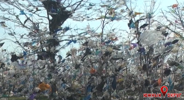 В селе под Николаевом ураган разнес тонны мусора