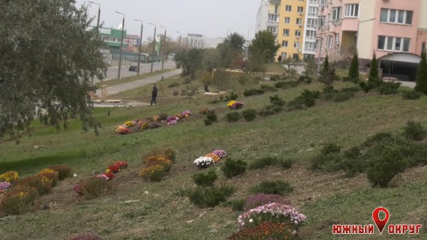 По улице Иванова озеленяют придомовые территории (фото)