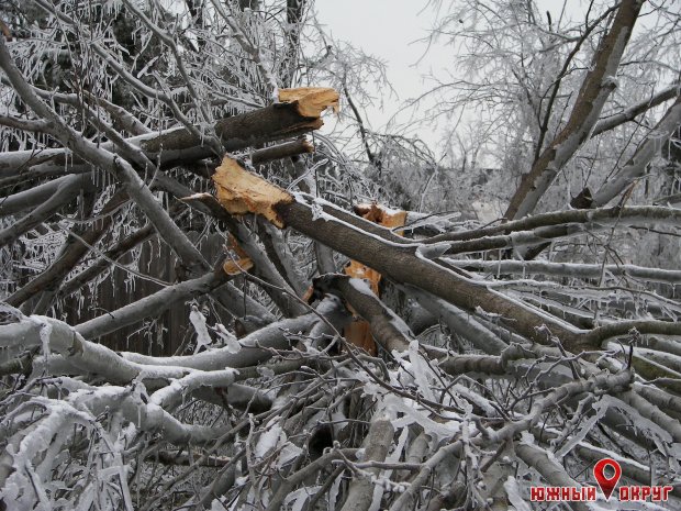 На Одесскую область выпала месячная норма осадков, завтра может быть хуже