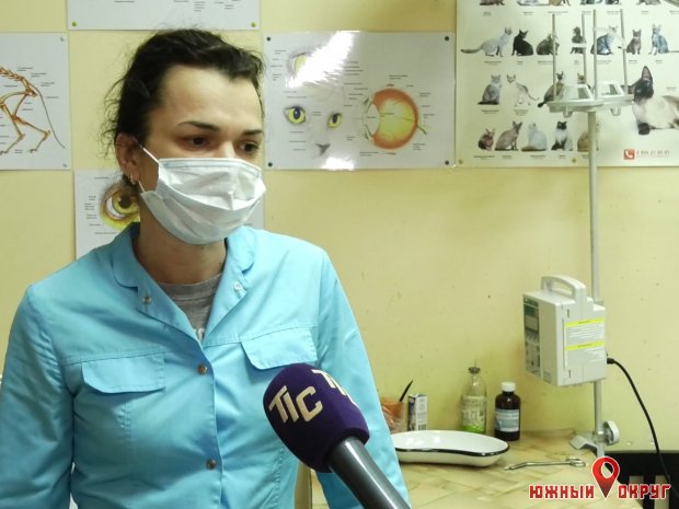 Ирина Маципань, врач ветеринарной клиники.