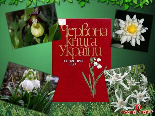 Какие растения войдут в Красную книгу Украины (фото)