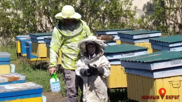 Пасека недалеко от Южного — пчеловодство как семейное дело
