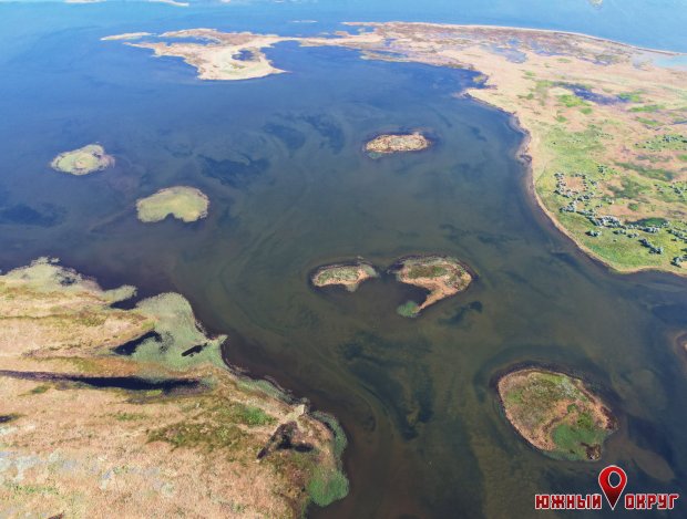 РЛП “Тилигульский‟ — острова с гнездами птиц сейчас окружены водой (фото)