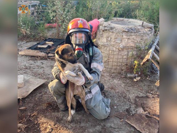 В Сычавке Южненской ОТГ спасатели достали собаку из колодца