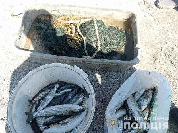 Житель Южненской ОТГ незаконно вылавливал рыбу на Тилигуле — нанес 40 тыс. грн убытков