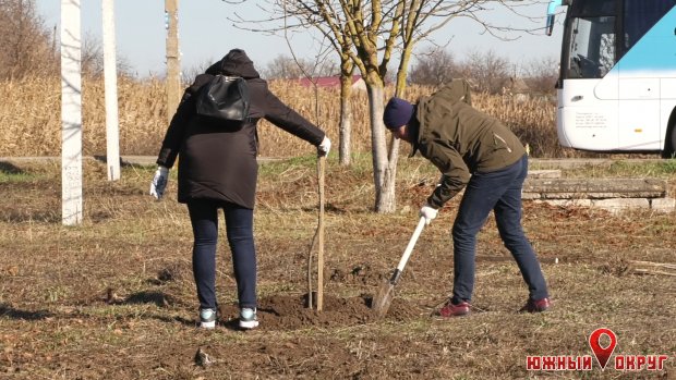 В Сычавке Южненской ОТГ прошел субботник — высадили 300 деревьев (фото)
