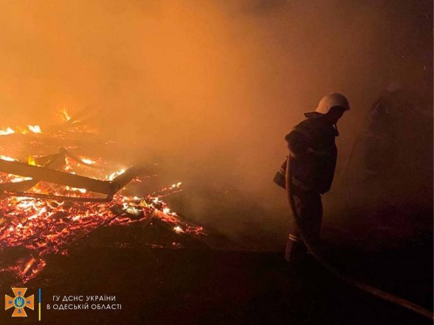 В Южном спасатели ликвидировали пожар на базе отдыха (фото)