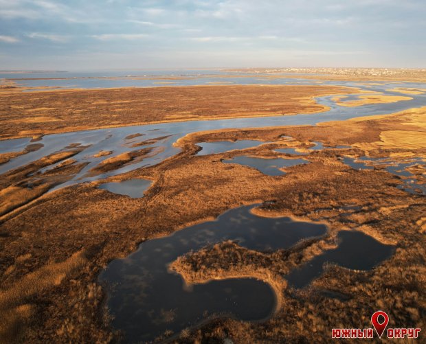 Плавни Тилигула — одни из самых ценных территорий лимана (фото)